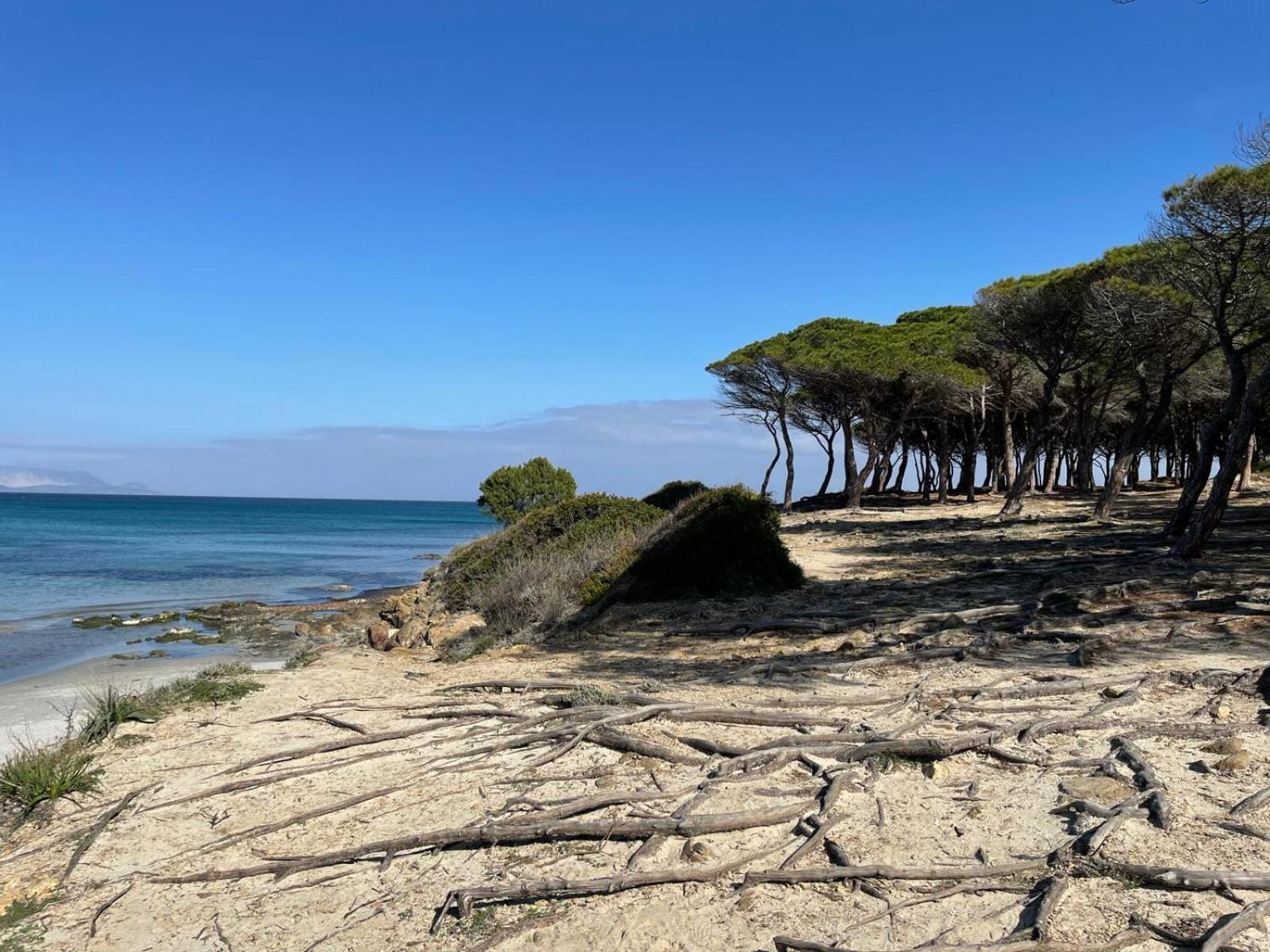 Sorres De Mare Villa Budoni Exterior foto
