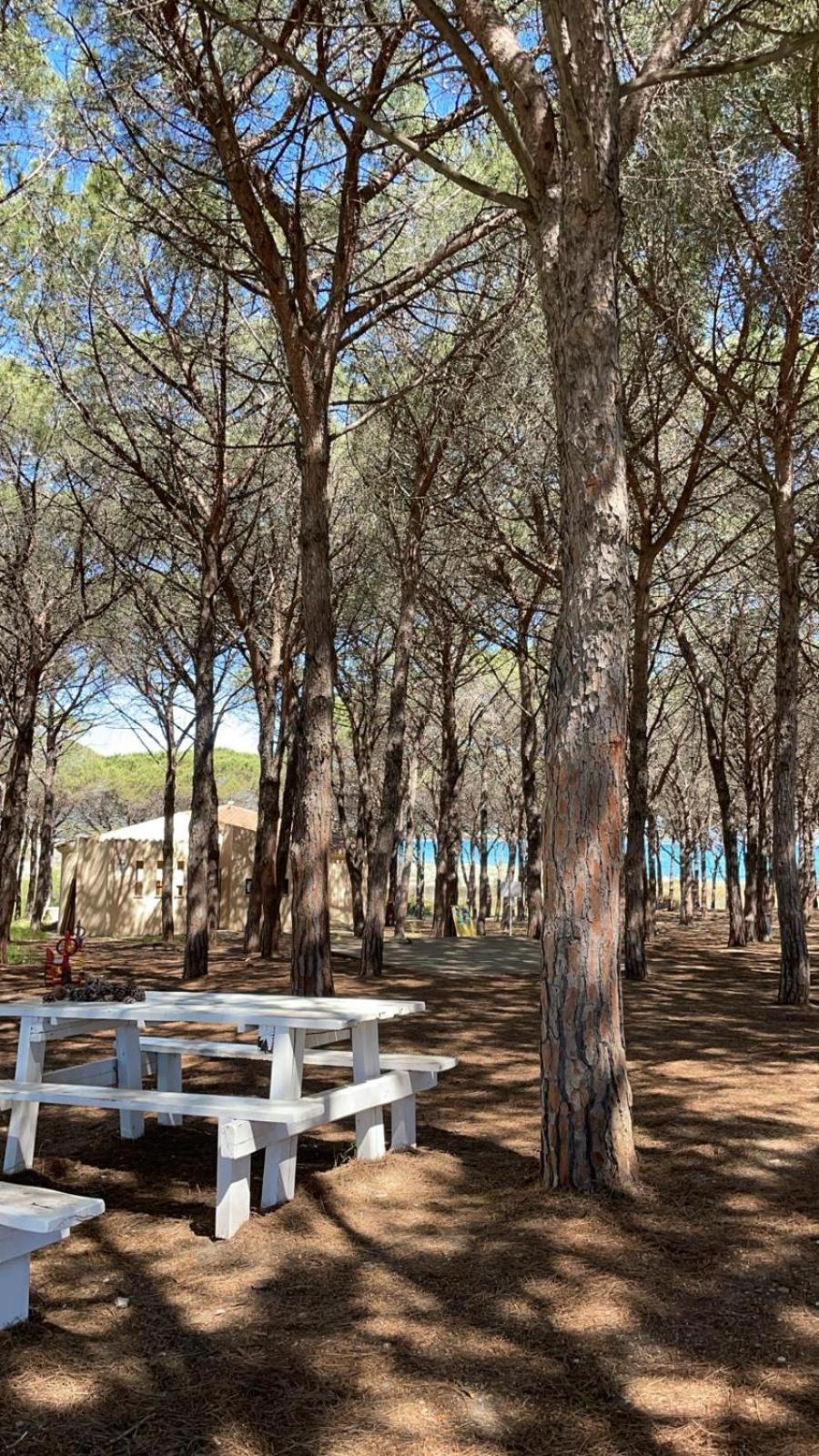 Sorres De Mare Villa Budoni Exterior foto
